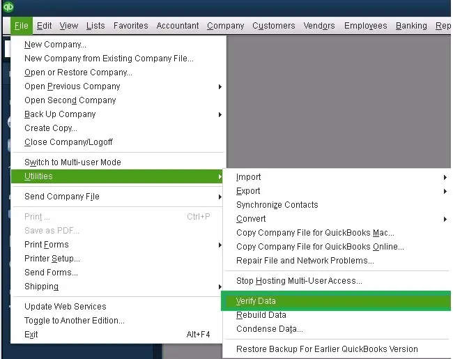 verify your company file
